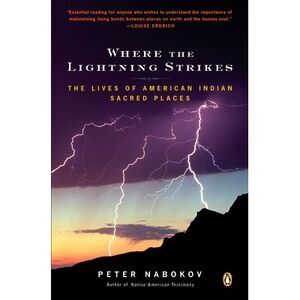 Where the Lightning Strikes: The Lives of American Indian Sacred Places -- Peter